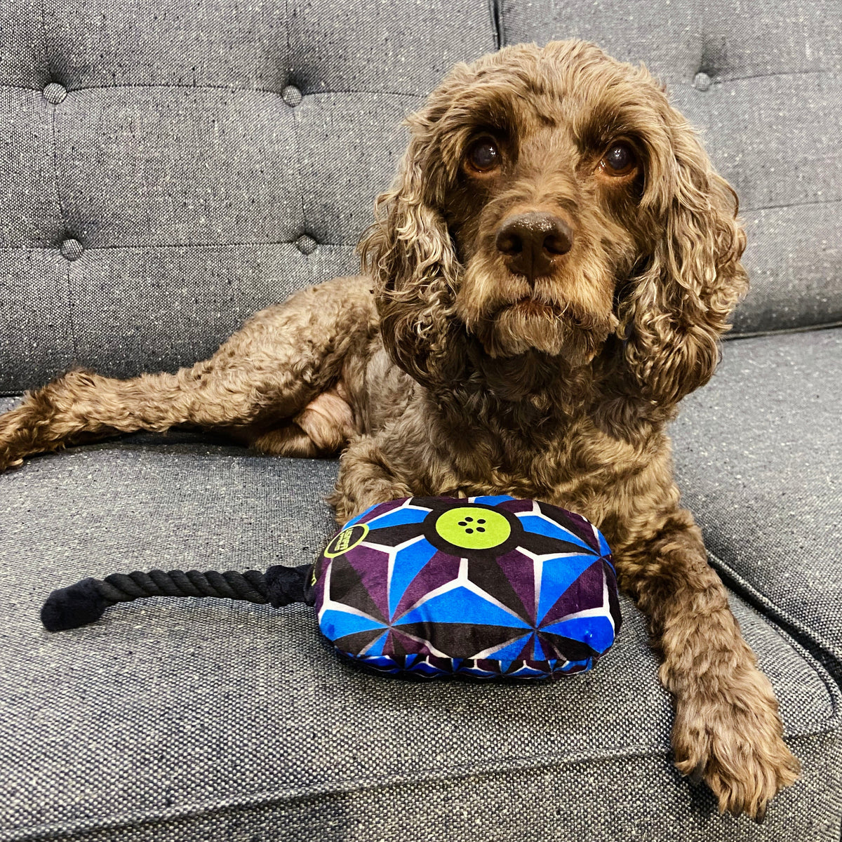 Colorado Avalanche Dog Tennis Ball Toy